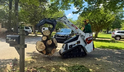 tree removal & emergency services